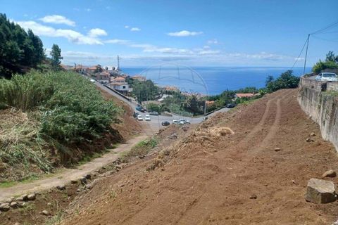  Land in Funchal, Portugal No. 249047