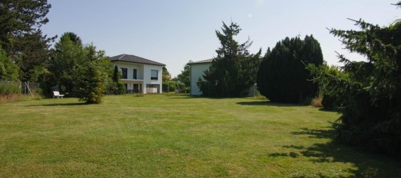  Land in Traismauer, Austria No. 131920 5