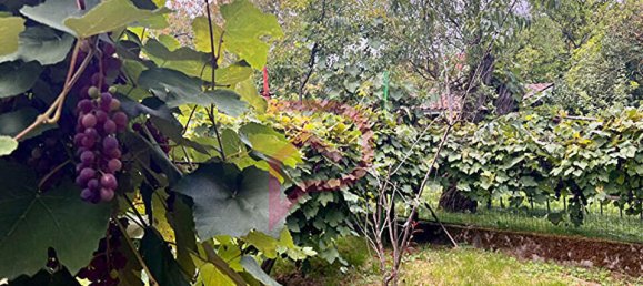 3 غرف نوم منزل في L'Hopital, France رقم 77747 15