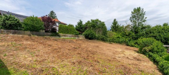 Terrain à Klosterneuburg, Austria 1029m² No. 167464 4