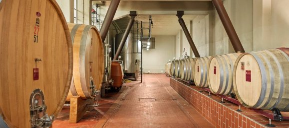 Terreno de 14 dormitorios en Radda in Chianti, Italy No. 57170 32