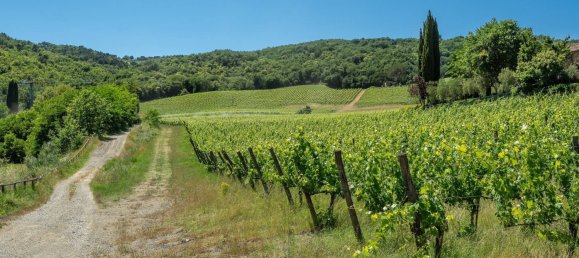 Terreno de 14 dormitorios en Radda in Chianti, Italy No. 57170 28