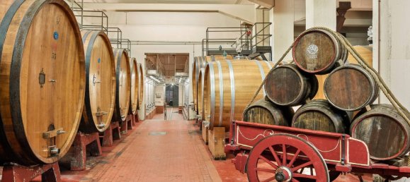 Terreno de 14 dormitorios en Radda in Chianti, Italy No. 57170 9