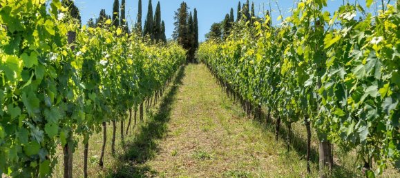 Terreno de 14 dormitorios en Radda in Chianti, Italy No. 57170 27