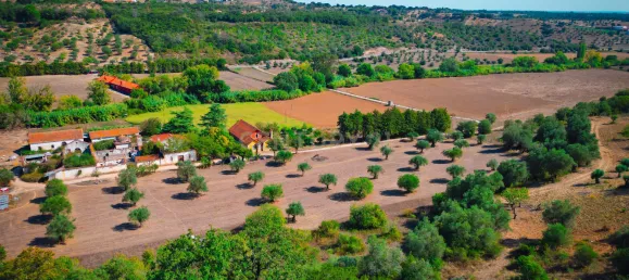 Casa T7 em Torres Novas, Portugal N.º 142157 26