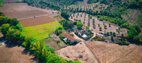 Casa T7 em Torres Novas, Portugal N.º 142157 21
