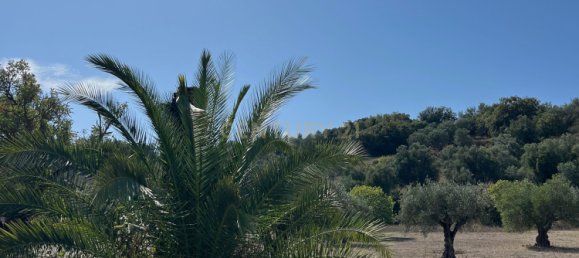 Casa T7 em Torres Novas, Portugal N.º 142157 42