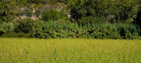 Casa T7 em Torres Novas, Portugal N.º 142157 40