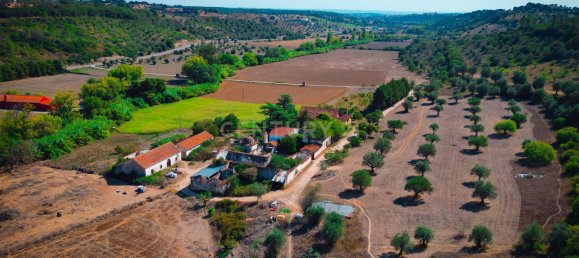 Casa T7 em Torres Novas, Portugal N.º 142157 28