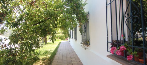  Land in Ronda, Spain No. 20510 17