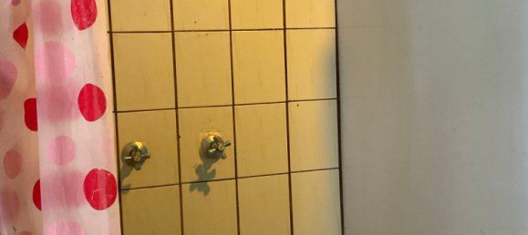 3 Schlafzimmer Haus in Ravenshoe, Australia, Nr. 443 13