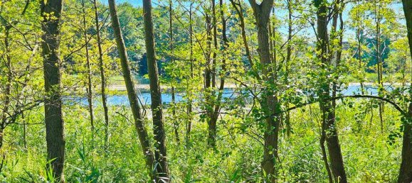 Terreno en Ludwigslust-Parchim, Germany No. 175124 4