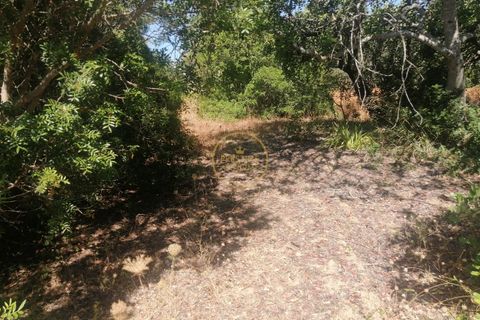 3440m² Land in Loule, Portugal No. 221738