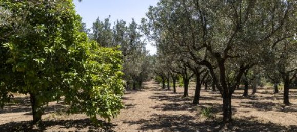 4 Schlafzimmer Villa in Montepaone, Italy, Nr. 180148 36