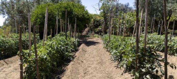 4 Schlafzimmer Villa in Montepaone, Italy, Nr. 180148 34