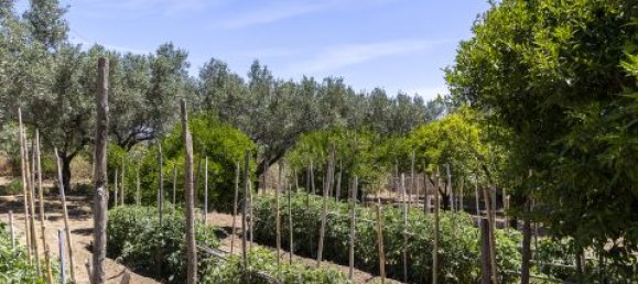 4 Schlafzimmer Villa in Montepaone, Italy, Nr. 180148 28