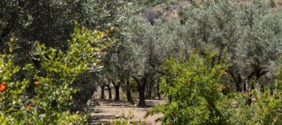 4 Schlafzimmer Villa in Montepaone, Italy, Nr. 180148 31