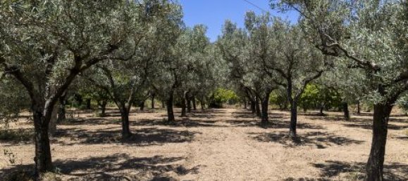 4 Schlafzimmer Villa in Montepaone, Italy, Nr. 180148 38