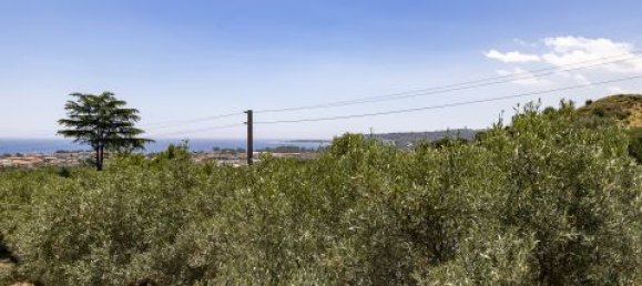 4 Schlafzimmer Villa in Montepaone, Italy, Nr. 180148 26