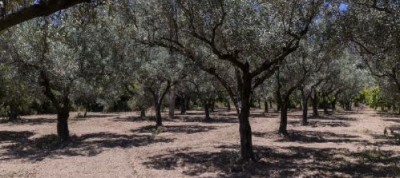 4 Schlafzimmer Villa in Montepaone, Italy, Nr. 180148 37