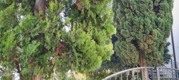 4 rooms Apartment in Riccione, Italy No. 167944 27