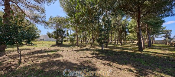 4 rooms Villa in Gallipoli, Italy No. 191129 15