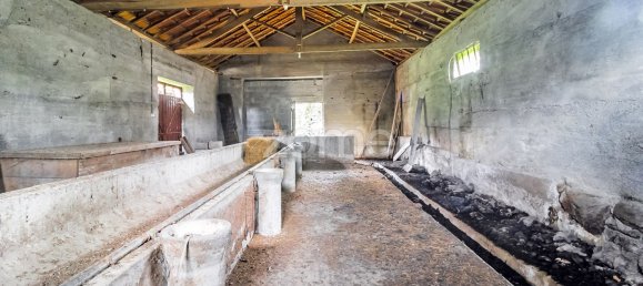 Casa T4 em Salto, Portugal N.º 124505 31