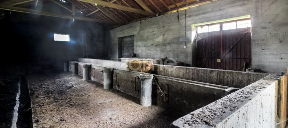 Casa T4 em Salto, Portugal N.º 124505 33