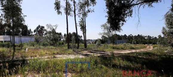4513m² Land in Rio Meao, Portugal No. 97259 5