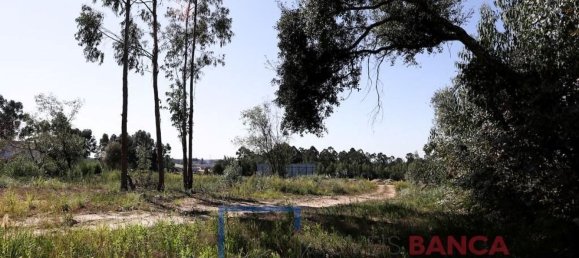 4513m² Land in Rio Meao, Portugal No. 97259 6