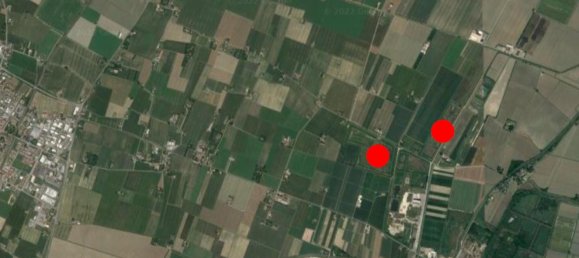 1-Zimmer Grundstück in San Pietro in Casale, Italy, Nr. 17707 4