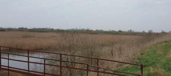 1-Zimmer Grundstück in San Pietro in Casale, Italy, Nr. 17707 6