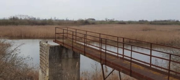 1-Zimmer Grundstück in San Pietro in Casale, Italy, Nr. 17707 7