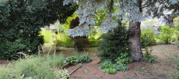 Adosado de 4 dormitorios en Gorlitz, Germany No. 326440 3