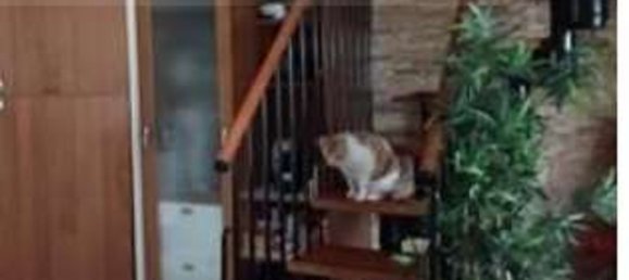 5-Zimmer Wohnung in Caponago, Italy, Nr. 5343 23