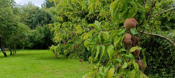 3 bedrooms House in Bourgueil, France No. 239991 8