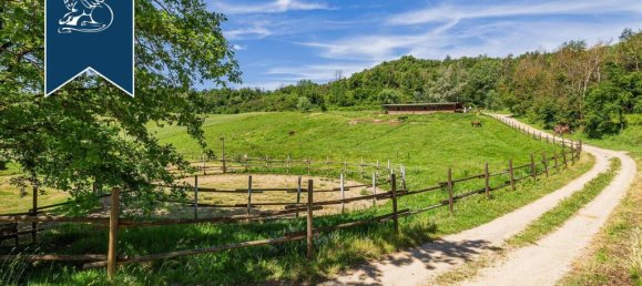 22 Schlafzimmer Gewerbliche Immobilie in Reggello, Italy, Nr. 316514 45