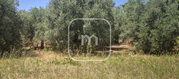 8 Schlafzimmer Villa in Velletri, Italy, Nr. 324215 8