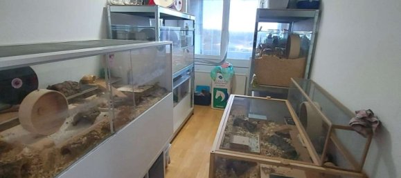 2 Schlafzimmer Wohnung in Duisburg, Germany, Nr. 278600 3