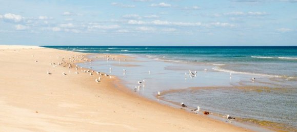 Terrain à Quelfes, Portugal 712m² No. 105586 18