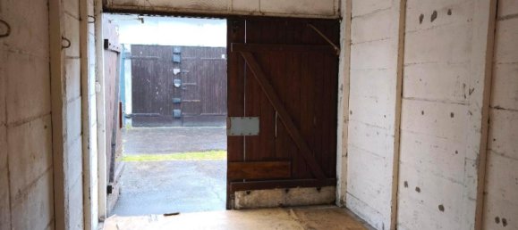  Parking in Rostock, Germany No. 230489 2