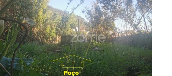 15628m² Land in Canelas, Portugal No. 86826 17