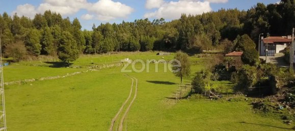 15628m² Land in Canelas, Portugal No. 86826 5