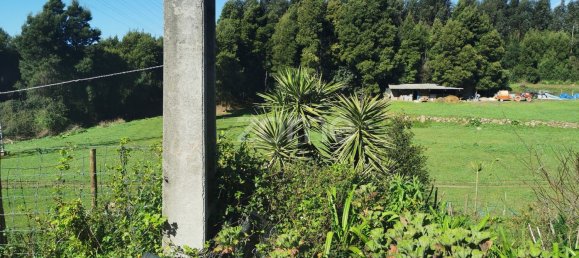 15628m² Land in Canelas, Portugal No. 86826 14