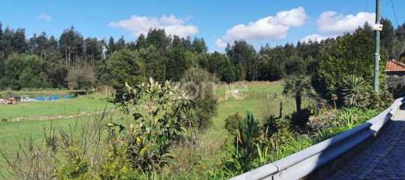 15628m² Land in Canelas, Portugal No. 86826 15