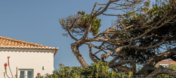 Casa de 3 dormitorios en Colares, Portugal No. 53175 15