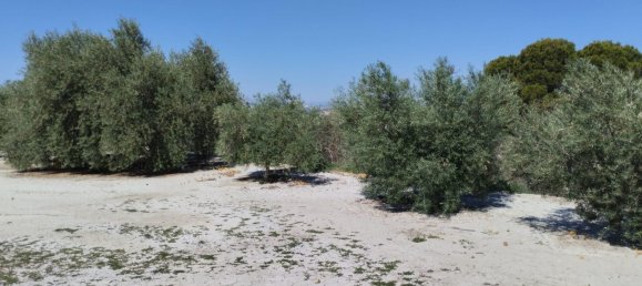 Terreno em Molina de Segura, Spain 1819 m² N.º 156196 5