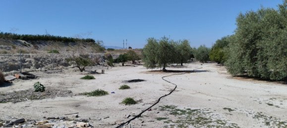 Terreno em Molina de Segura, Spain 1819 m² N.º 156196 3