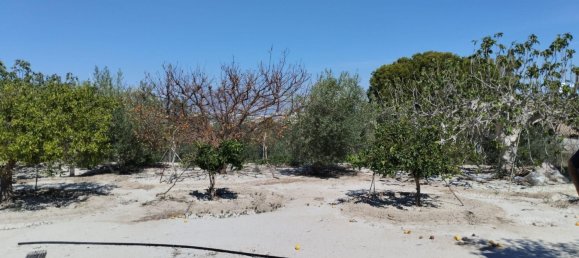 Terreno em Molina de Segura, Spain 1819 m² N.º 156196 6