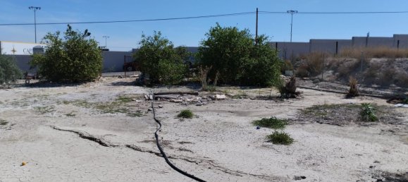 Terreno em Molina de Segura, Spain 1819 m² N.º 156196 7